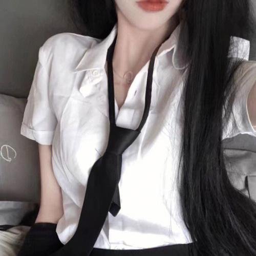 蔷薇处处香